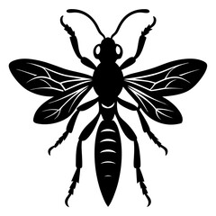 Mud dauber silhouette vector illustration 