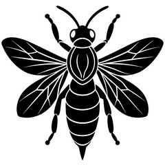 Paper was silhouette vector illustration 