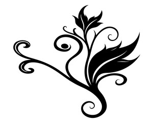 Flourish Vector & SVG | Elegant Decorative Vector for Invitations, Monograms, Frames & Ornamental Design