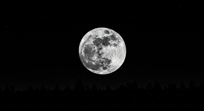 full moon in the sky