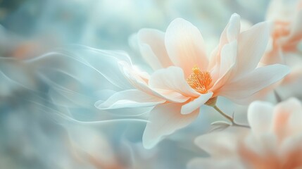 Fototapeta premium Delicate magnolia flower blooming softly with ethereal background hues