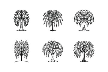 willow icon line art vector illustration © MST