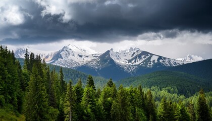 Fototapeta premium Green forest and snow capped mountains after storm