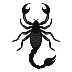 Scorpion silhouette art illustration.