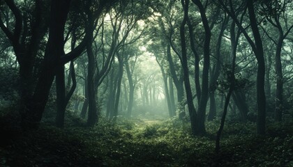 Fototapeta premium Misty, ancient forest path shrouded in twilight.