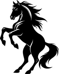 black horse isolated on white