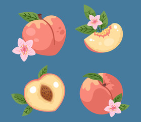 Sweet Peach: Featuring four vibrant illustrations of succulent peaches, perfectly capturing their juicy texture and delicate blooms.