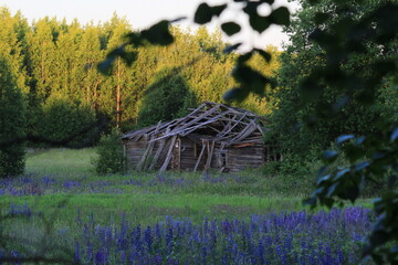 abandoned uninhabited houses in old villages from the times of collective farms and...