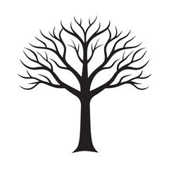 Fototapeta premium Beech tree silhouette for peaceful forest themes