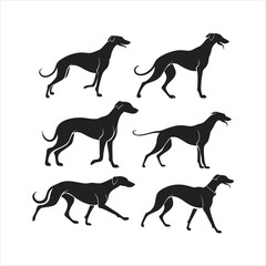 Vector seamless pattern of Italian greyhound dog
