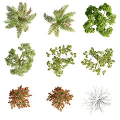 set of trees rendered from the top view, 3D illustration, for digital composition, illustration, 2D plans, architecture visualization