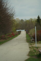 path in the park