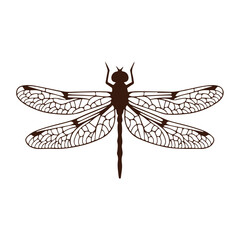 dragonfly silhouette insect detailed wings nature bug icon vector illustration