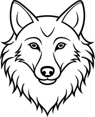 Fototapeta premium vector illustration of a wolf