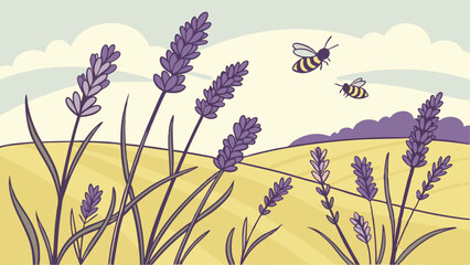 lavender flowers in the field