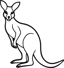 kangaroo vector illustration