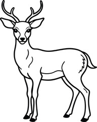 deer vector illustration