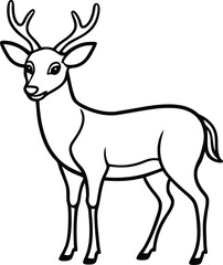 Obraz premium deer vector illustration