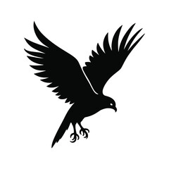 Falcon Bird Silhouette Vector illustration
