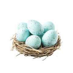 Obraz premium Pastel Blue Speckled Easter Eggs in Bird Nest