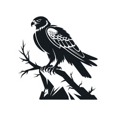 Falcon Bird Silhouette Vector illustration
