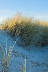 Dünen am Strand von Norddeich