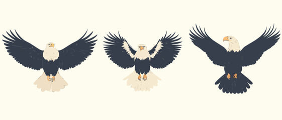 Obraz premium Three eagles flying illustration vector graphic design element image art