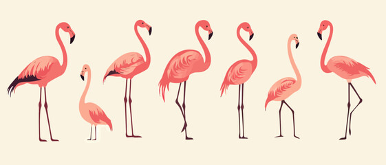 Obraz premium Flamingos vector illustration of pink birds tropical wildlife design art