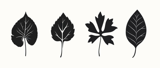 Leaf silhouette vector art collection of botanical foliage illustrations
