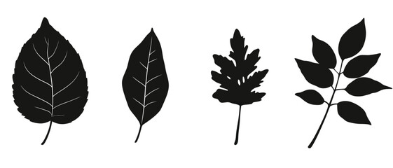 Leaf silhouette vector set for botanical illustrations and design assets