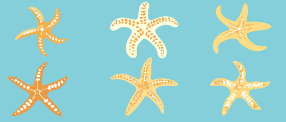Starfish ocean life sea stars marine life summer beach theme nautical design