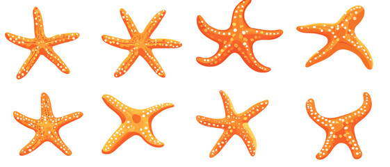 Collection of orange starfish sea life illustration for summer designs