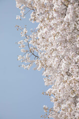 따뜻한 오늘의 봄