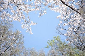 따뜻한 오늘의 봄