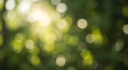 Obraz premium Sunlit Reverie AI Generated