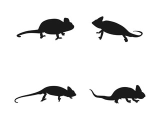 Chameleon icon. Chameleon lizard reptile black silhouette animal. Chameleon black sign isolated. Vector illustration of a chameleon silhouette on a branch. silhouette isolated on a white background.