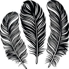 Fototapeta premium Feathers silhouette set vector image (1).eps