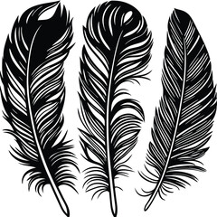 Obraz premium Feathers silhouette set vector image (4).eps