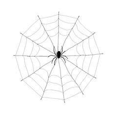 Fototapeta premium Spider on Web Halloween Black and White Illustration 