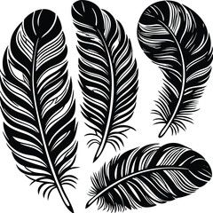 Obraz premium Feathers silhouette set vector image (13).eps