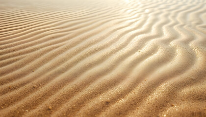 Fototapeta premium Golden Sand Texture with Sunlight Ripples
