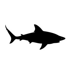 bull shark icon, bull shark silhouette vector illustration-simple silhouette illustration of bull shark, perfect for bull shark logos and icons