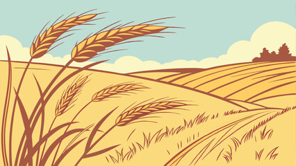 field of wheat