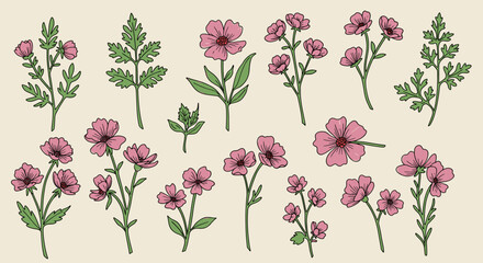 Floral Elegance: Capturing the beauty and delicate charm of pink flowers with green leaves and stems, offering an elegant display for design. 