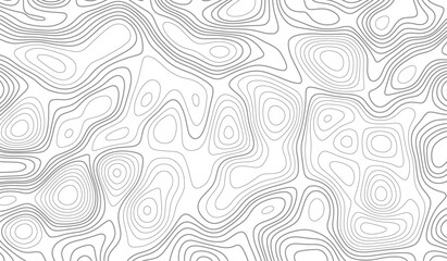 Light topographic topo contour map background, topographic line contour map background, Topographic map background geographic line map with elevation assignments. 