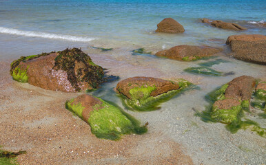 algae on stones and crystal clear water