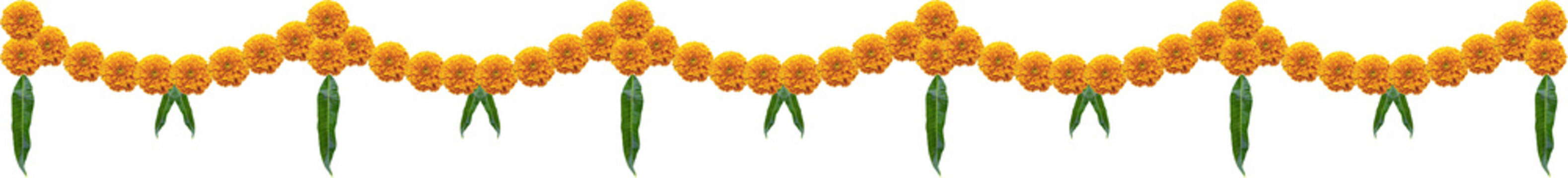 Phool Images – Browse 1,722 Stock Photos, Vectors, and Video | Adobe Stock