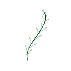 branch of a blossoming tree