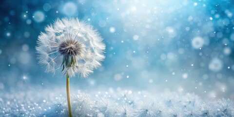 Obraz premium Dainty dandelion flower blooms in gentle dance amidst delicate snowflakes, solitary, delicate flowers