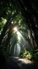 Obraz premium Sunbeams pierce a mystical tree-lined path